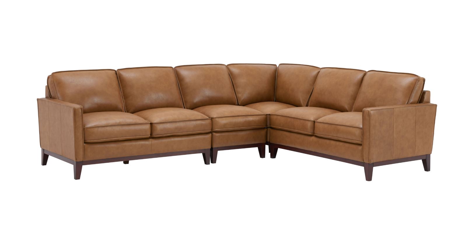 Napoli Sectional-image